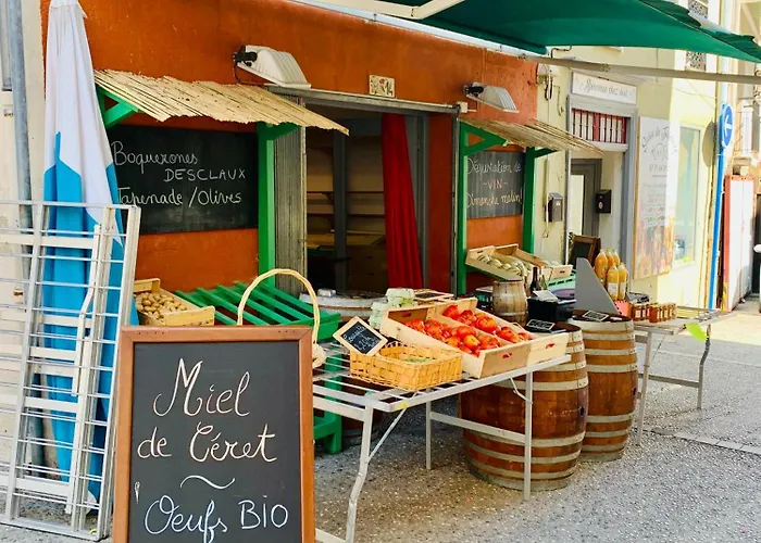 Studio Moderne Argeles Sur Mer.La Plage A Pieds, Espagne A 30Mn